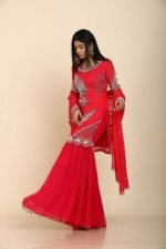 Red Georgette Sharara Set with Colourful Chid Work