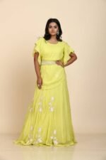 Light Green Organza Crop Top with Applique Embroidery and Sequin Highlights