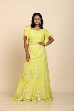 Light Green Organza Crop Top with Applique Embroidery and Sequin Highlights