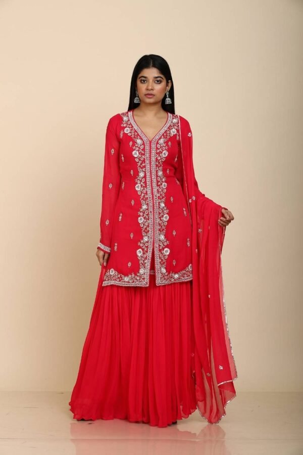 Rani Georgette Sharara with Front Slit and Moti Embroidery