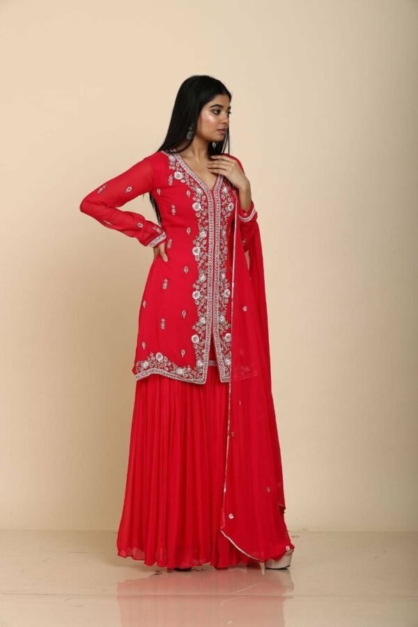 Rani Georgette Sharara with Front Slit and Moti Embroidery