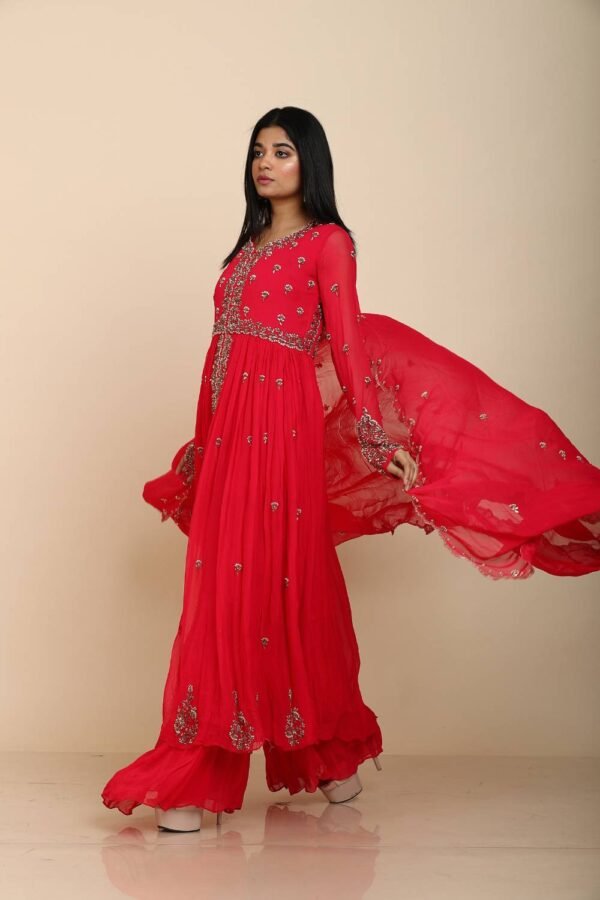 Rani Georgette Moti Work Kurta with Kalidar Palazzo