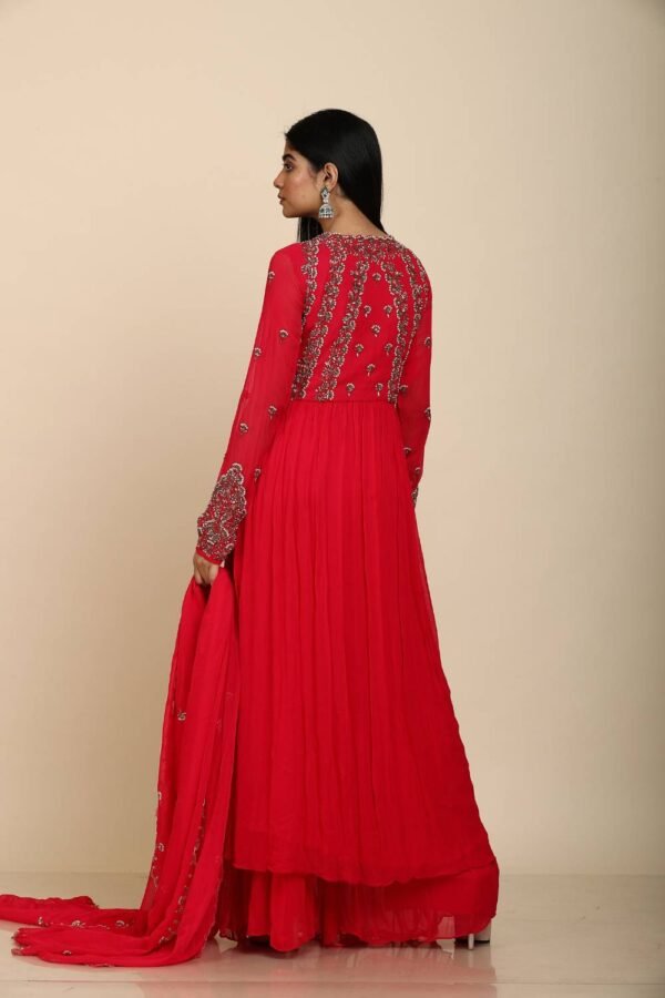 Rani Georgette Moti Work Kurta with Kalidar Palazzo