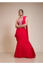 Rani Drape Saree with Embroidered Corset Blouse