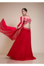 Red Lehenga Skirt with Multi-Colour Embroidered Crop Top & Cape