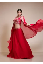 Red Lehenga Skirt with Multi-Colour Embroidered Crop Top & Cape