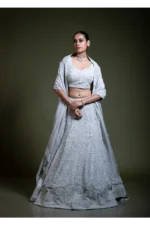 Light Grey Embroidered Lehenga Set with Blouse & Dupatta