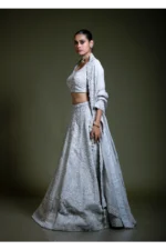 Light Grey Embroidered Lehenga Set with Blouse & Dupatta